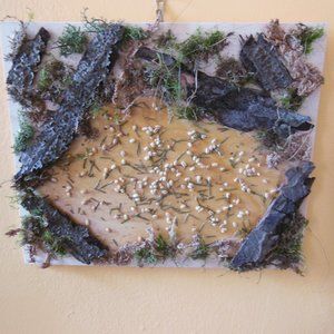 Moss & Bark Original Artwork
